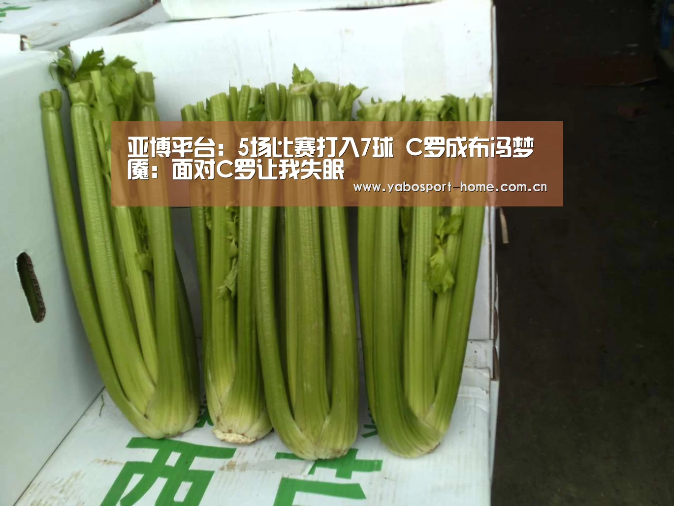 亚博平台:5场比赛打入7球 C罗成布冯梦魇:面对C罗让我失眠(图1) 亚博平台