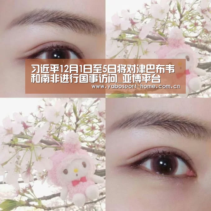 习近平12月1日至5日将对津巴布韦和南非进行国事访问_亚博平台(图1) 亚博平台